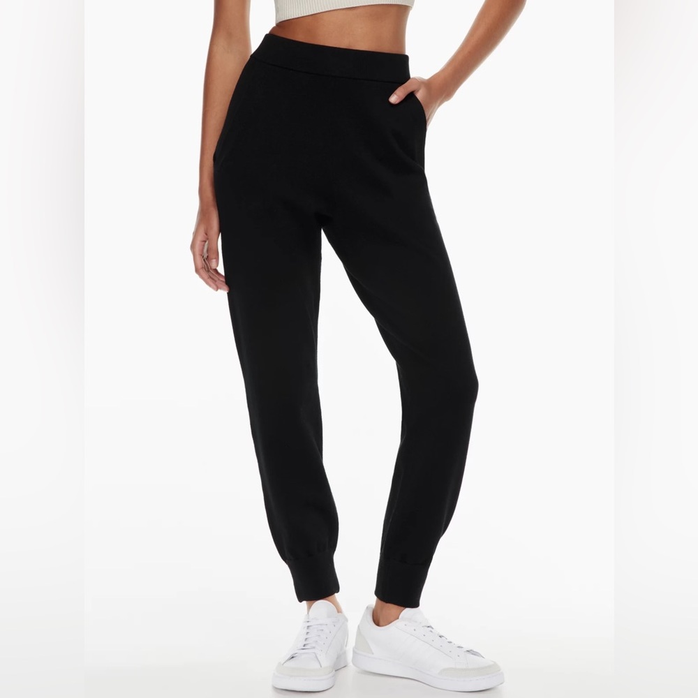 Aritzia Babaton Rodin Jogger